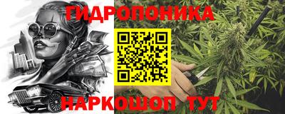 СК Тара