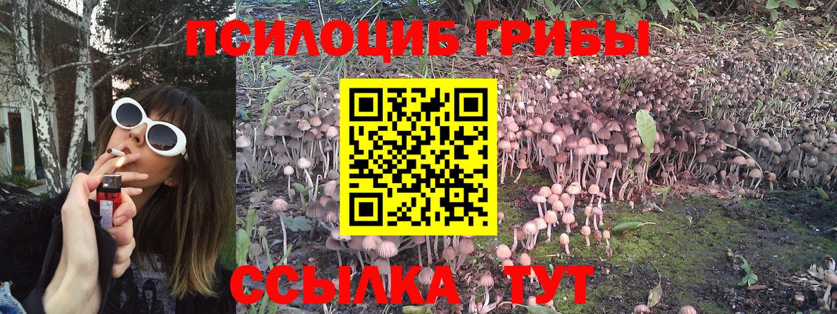 Псилоцибиновые грибы MAGIC MUSHROOMS  Псилоцибиновые грибы Psilocybine cubensis  Вход с VPN  Ливны 
