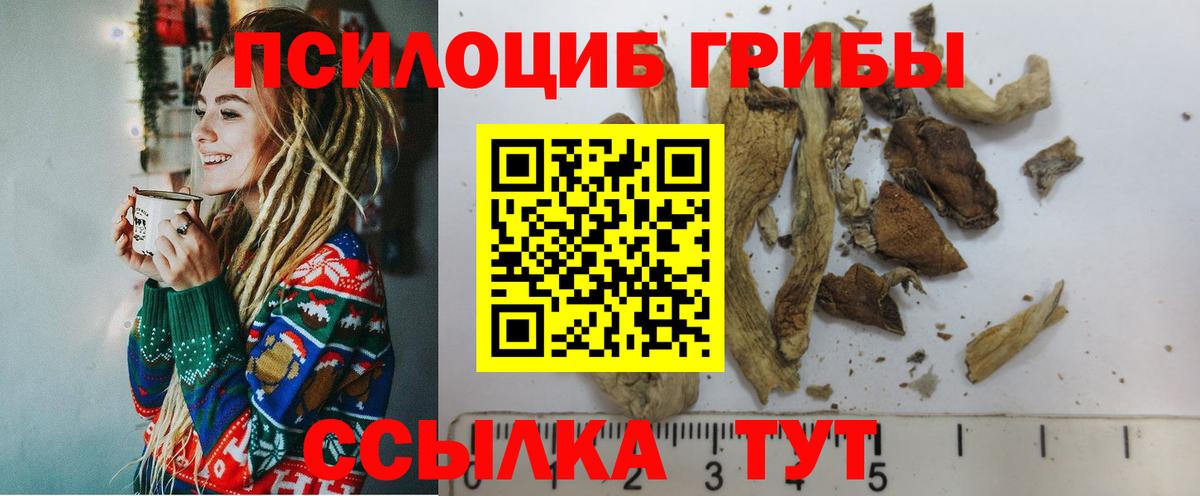 Псилоцибиновые грибы Psilocybine cubensis Ливны